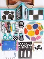 EN Lovevery Looker Play Kit Das Beobachter-Set De Waarnemer