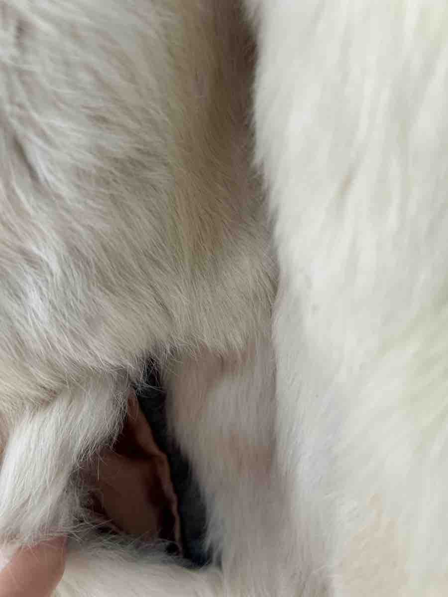 Giacche: Rabbit Fur Jacket, Cream, Great Condition – Usato da Saland venduto da ele_vc96 4
