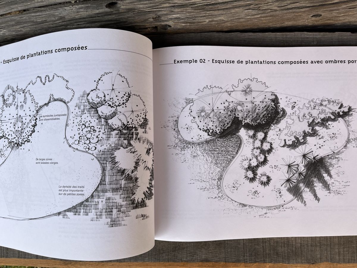 Libri: Dessin d’architecte paysagère – Usato da Euseigne venduto da so.ART 2