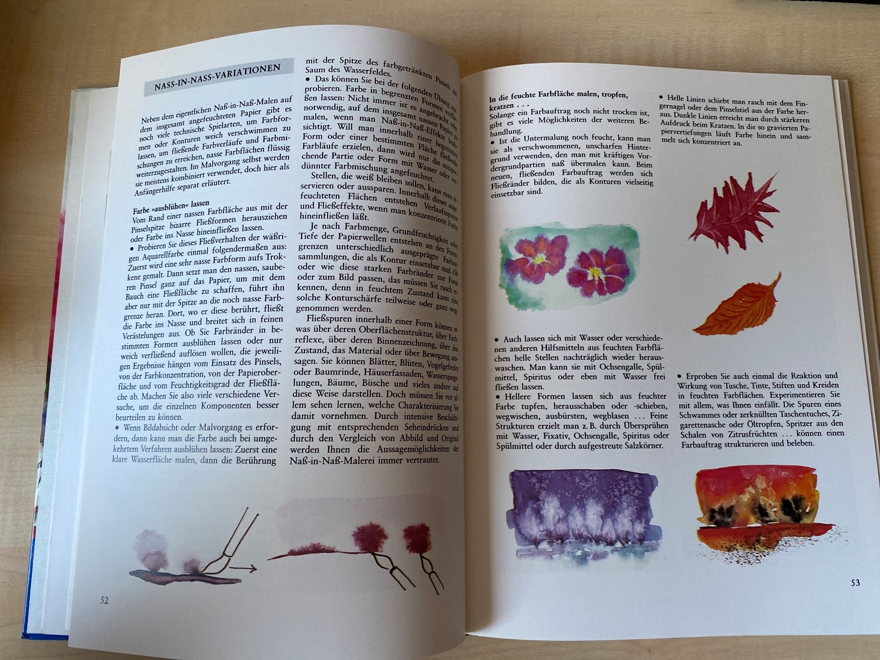Libri: Buch Aquarellieren – Usato da Bülach venduto da Jackybabue 4