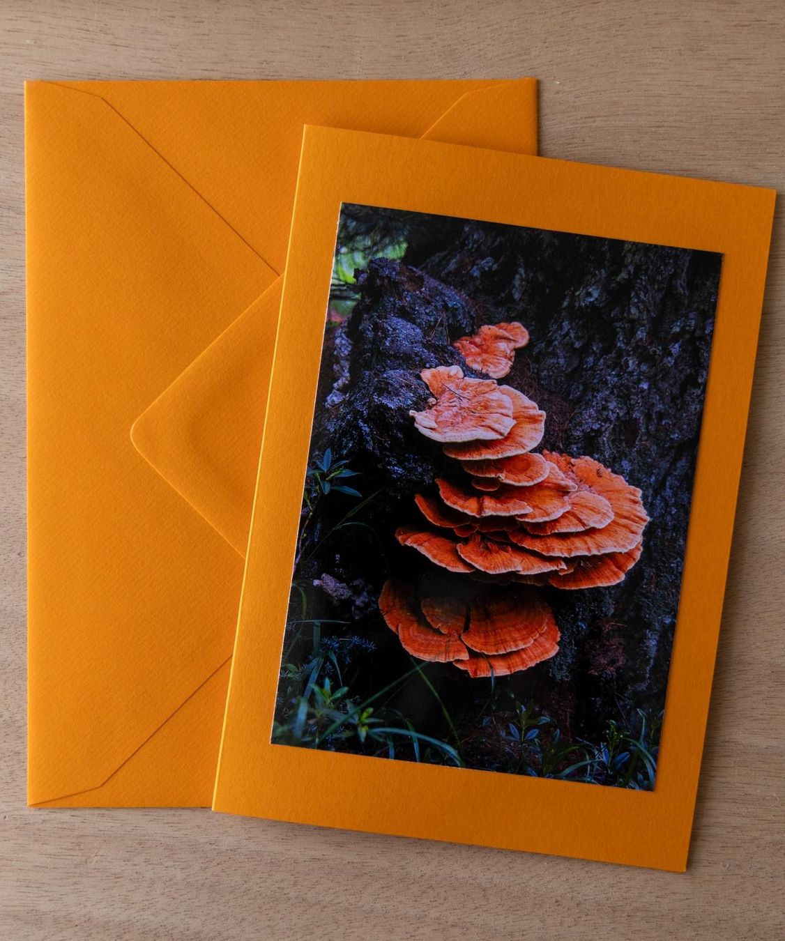 Cartoline: Handgemachte Fotokarte – Nuovo e nell'imballaggio originale da Escholzmatt venduto da Koenigskind2023