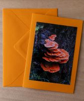 Handgemachte Fotokarte