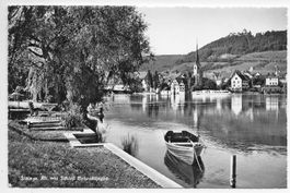 Stein am Rhein mit Schloss Hohenklingen