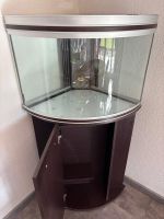 Aquarium d'angle RENA 180L - Complet et en très bonne état!