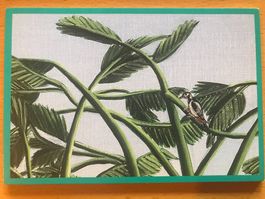 Kunst-Postkarte Naturschutz-Tram Zürich 2000-2002