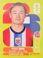Panini FIFA World Cup NOR 14