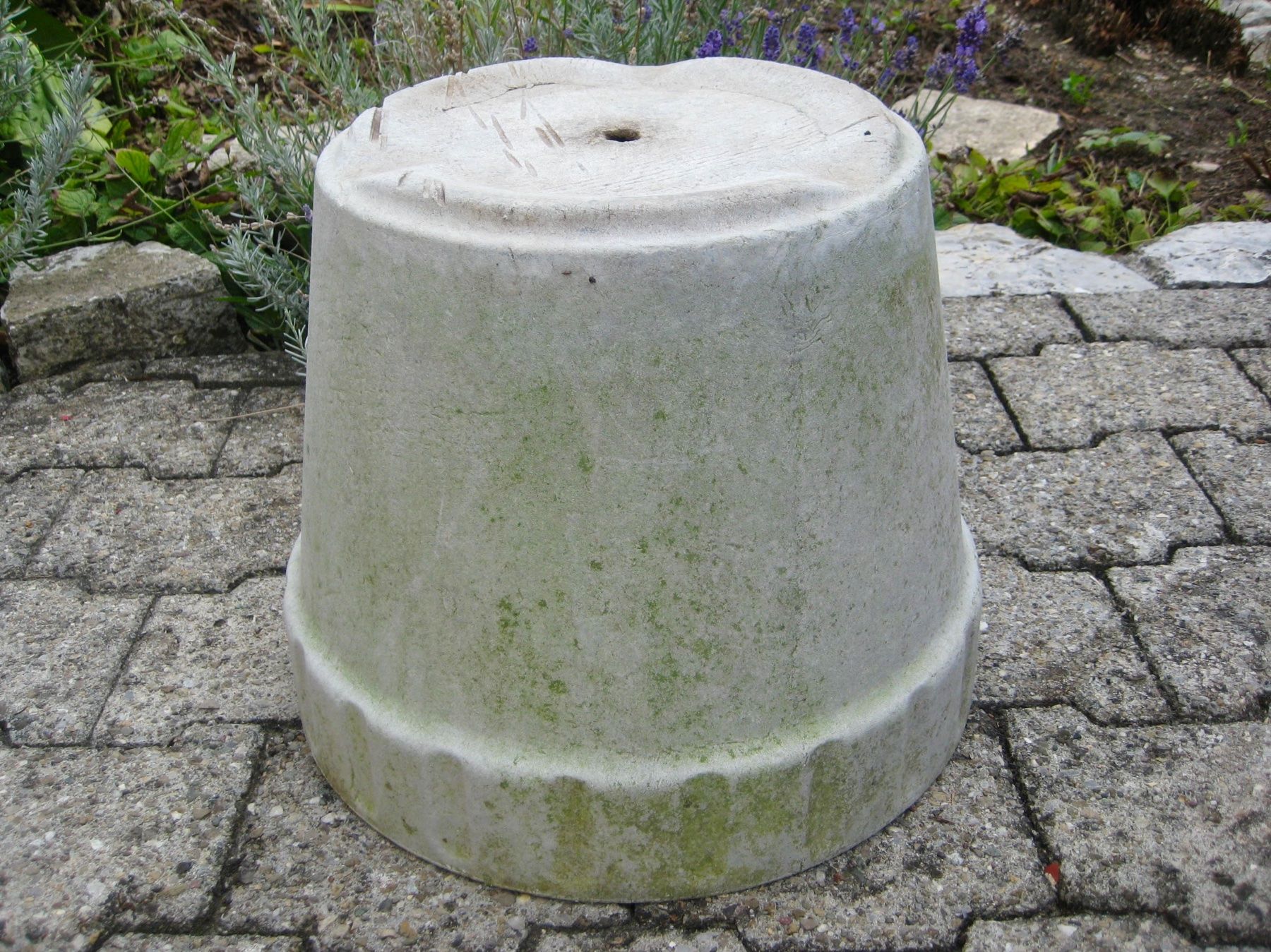 Blumentöpfe: Willy Guhl Pflanzentopf / Blumentopf – Gebraucht aus Langendorf von Happy11 5