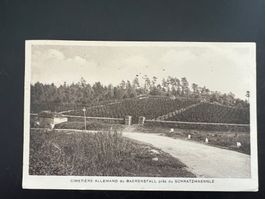 AK 1939 Cimetiere Allmand Bärenstall    (G373)