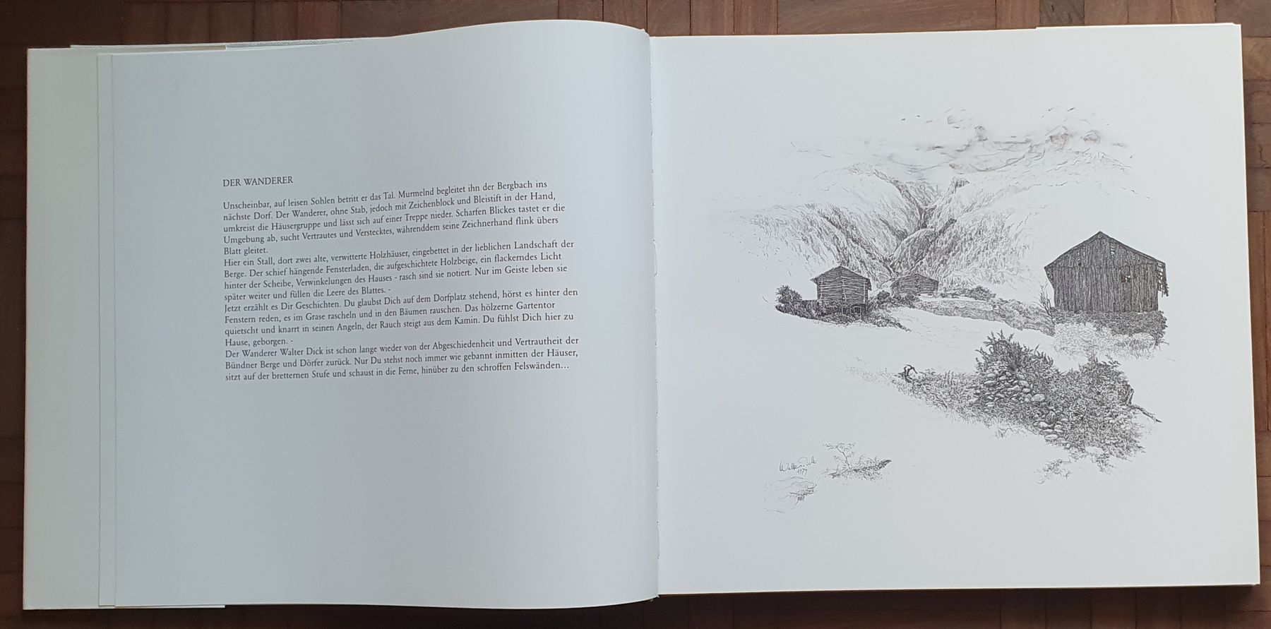 Libri: Buch - Walter Dick - Steinige Bergwelt – Usato da Kreuzlingen venduto da Rschweiz1 2