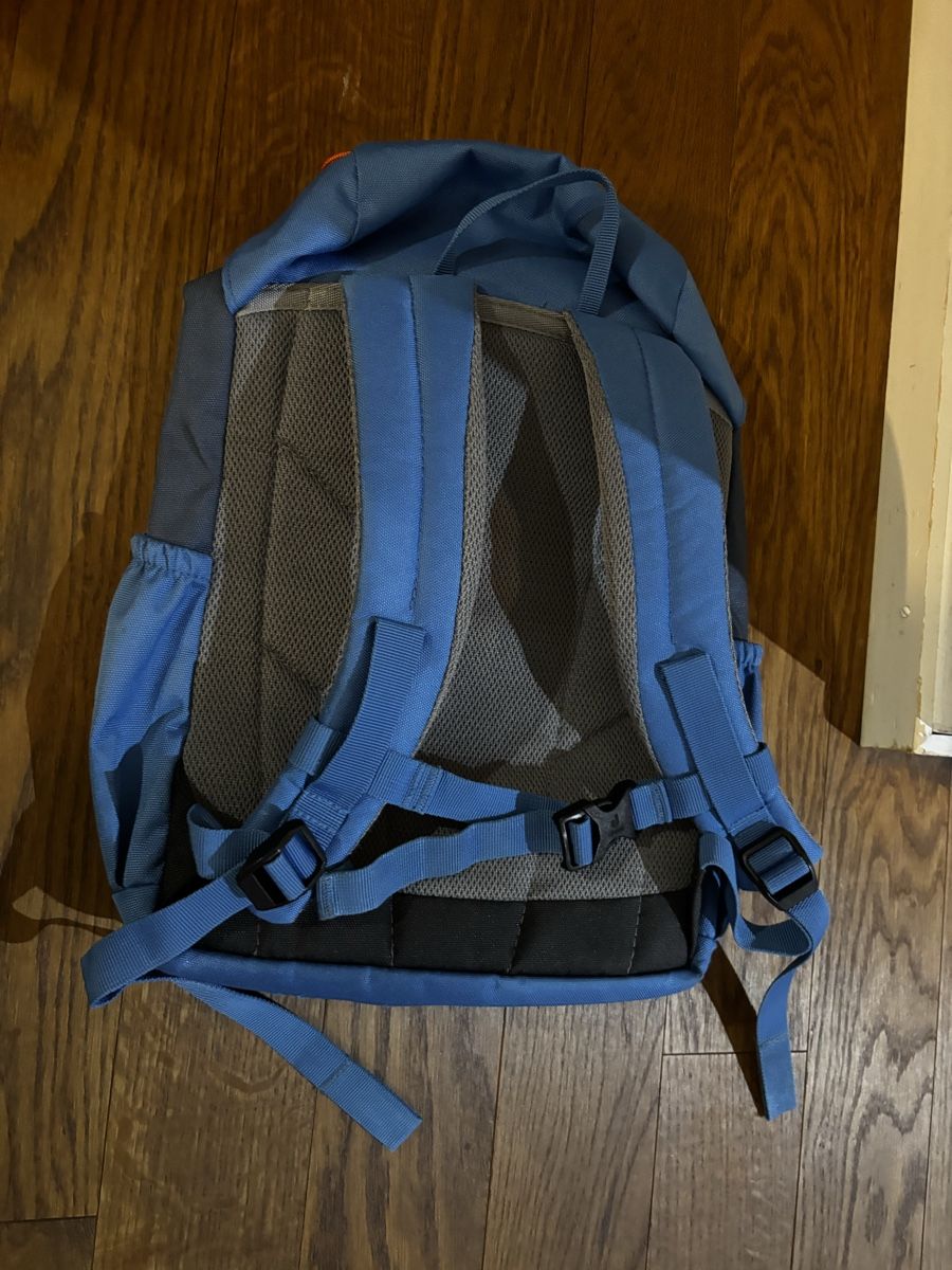 Deuter Zaini: deuter Waldrucksack – Usato da Buchrain venduto da Ham2383 1