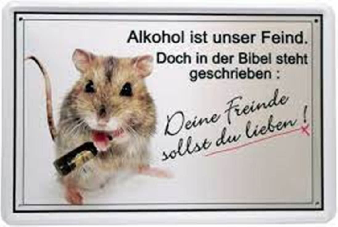 Insegne: Blechschild-ALKOHOL IST UNSER FEIND-DOCH – Nuovo e nell'imballaggio originale da Rupperswil venduto da big-one-sale