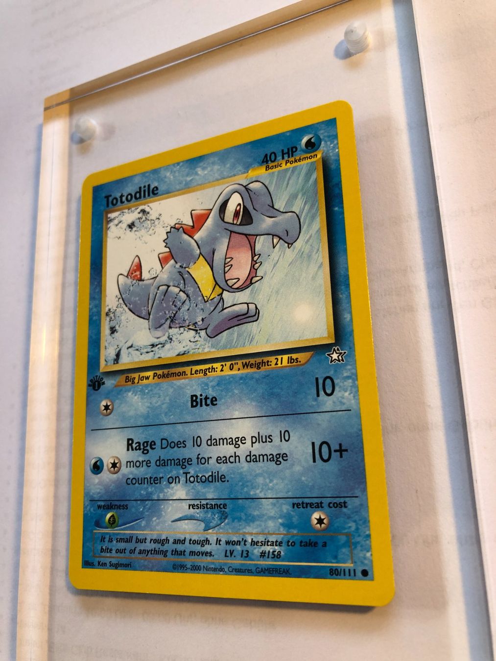 Sammelbilder & Trading cards: Totodile 1st Neo Genesis - MINT - ab 1.- – Gebraucht aus Giubiasco von dan_pr8b 2