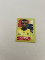 Panini RSA 6