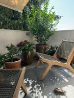 Giardimo Design Gartenstühle 2 Stück (Paar)