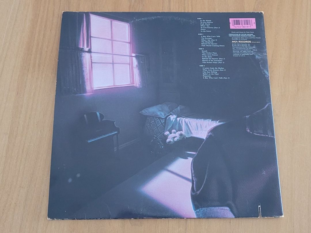 Dischi in vinile: DLP  Planet P Project – Usato da Martigny venduto da MZ-67 2