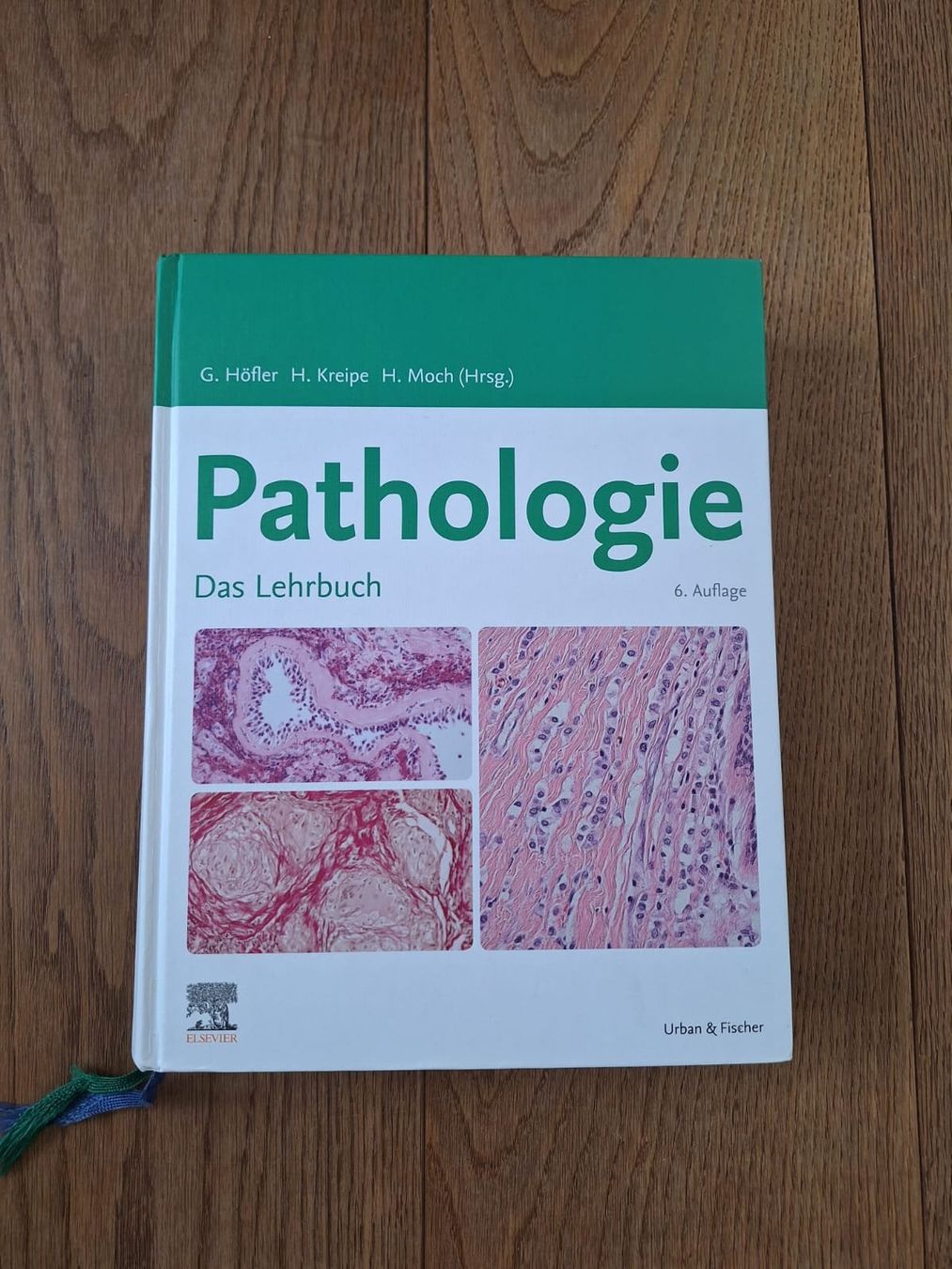 Libri: Lehrbuch "Pathologie", Elsevier, 6. Auflage – Usato da Zürich venduto da traveller09
