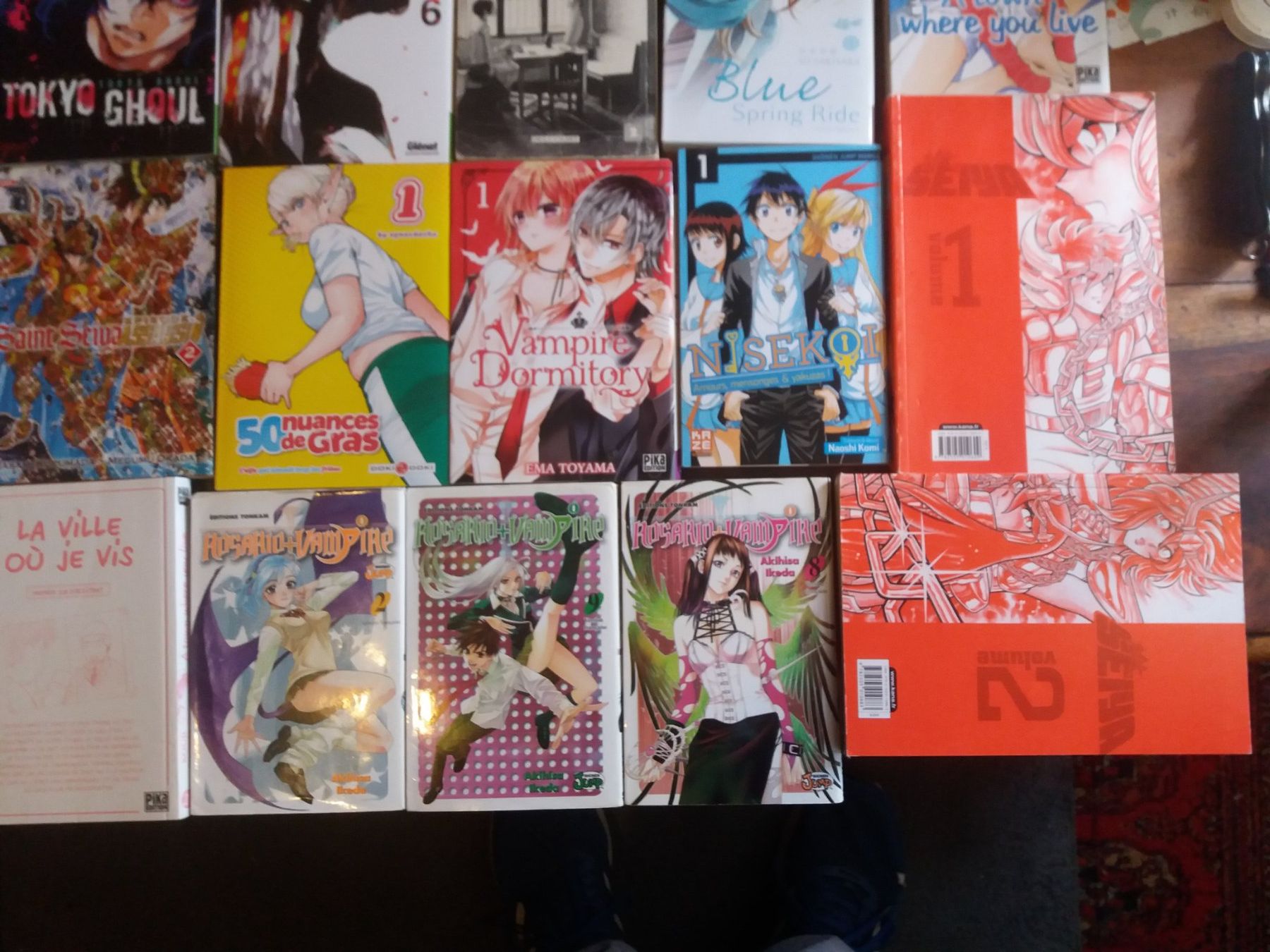 Fumetti: Lot de 28 Mangas divers – Usato da Meyrin venduto da toutatis 1