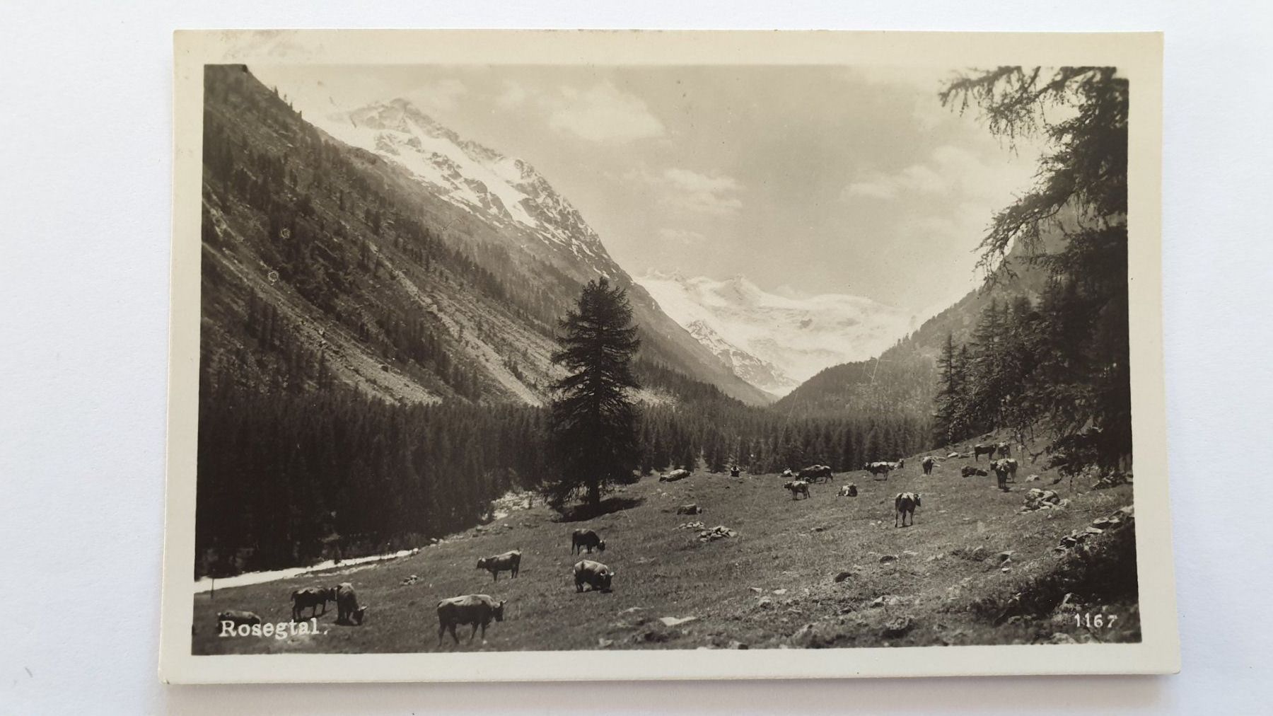 Cartoline postali: Roseggletscher. Oberengadin. Graubünden. 3 Ansichtskarten. – Usato da Goldach venduto da armando_r 2