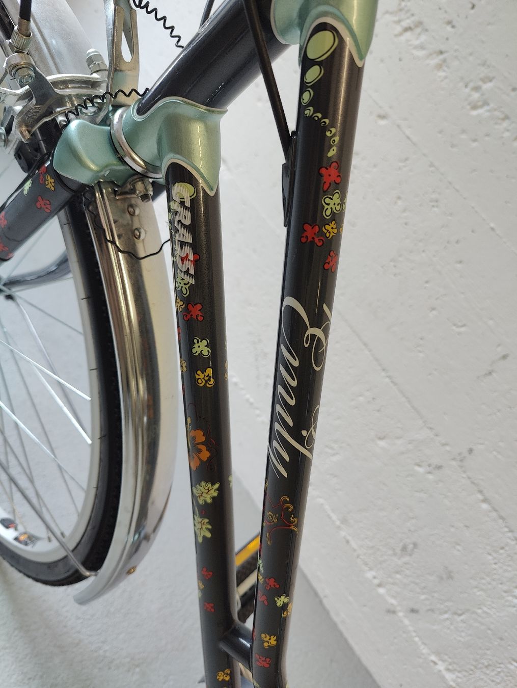 Biciclette: Emily Damenvelo – Nuovo (secondo la descrizione) da Hirschthal venduto da atleon77 4