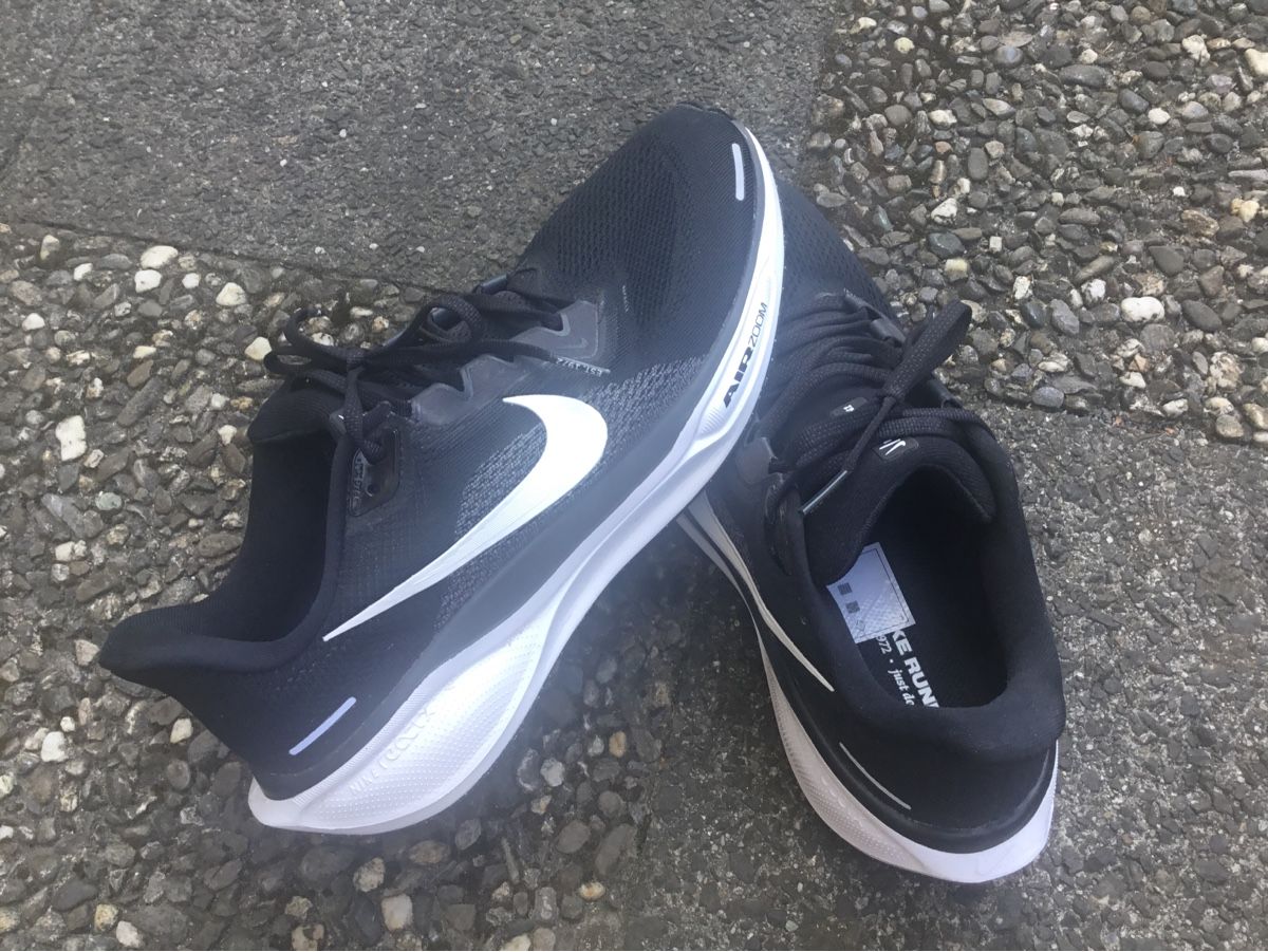 Nike Herrenschuhe: AIR ZOOM PEGASUS 41 – Neu (gemäss Beschreibung) aus Heiden von zifly