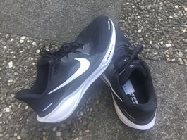 AIR ZOOM PEGASUS 41