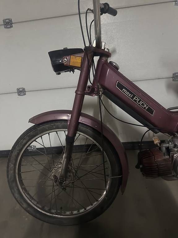 Puch Mofas: Puch Maxi S – Gebraucht aus Diepoldsau von fed_wvn6 3