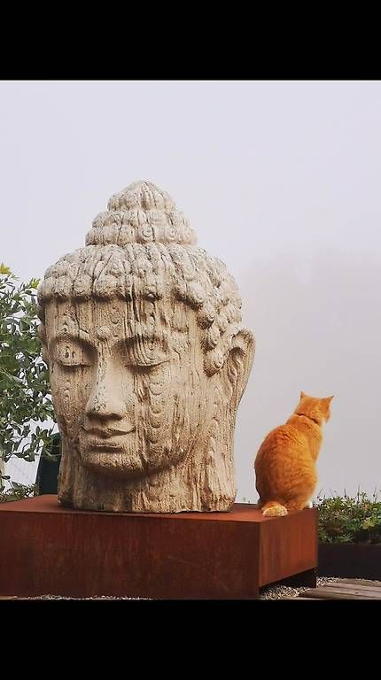 Sculptures & Statues: Buddha inkl. Stahlsockel – D'occasion à Aathal-Seegräben par rom_cg7q 1