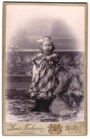 Fotografie Louis Frohwein, Basel, Freie 