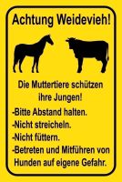 Blechschild-ACHTUNG WEIDEVIEH! gelb