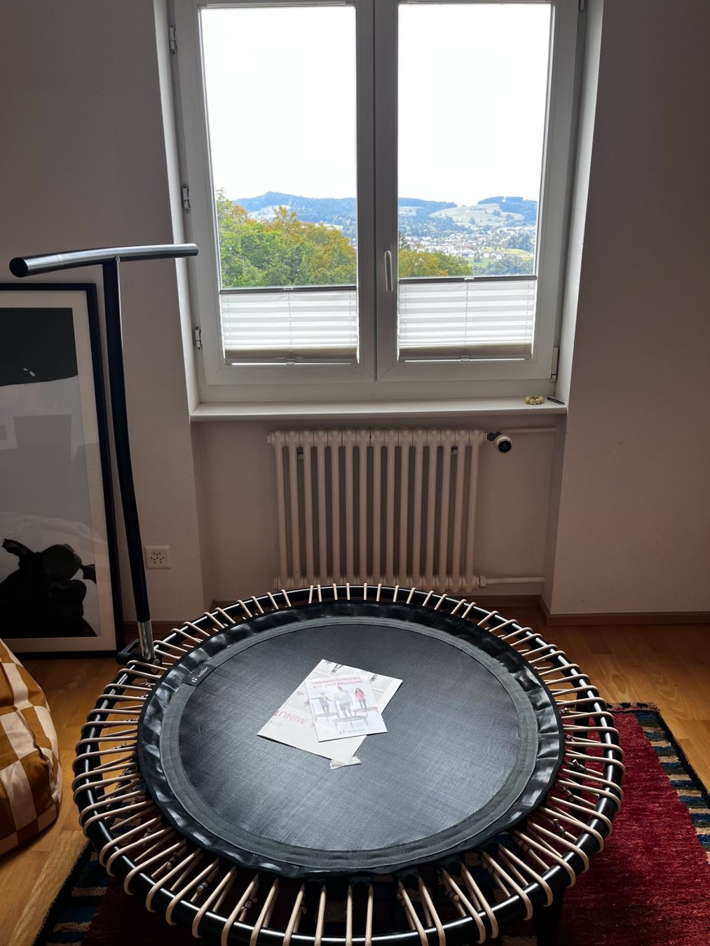 Bellicon Trampolines: Bellicon Trampolin – D'occasion à St. Gallen par ire_98fx