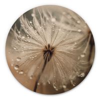 Holzbild Pusteblume Ø 70cm (neu, UVP 118.00 Fr.)