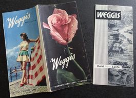 Prospectus touristique vintage "Weggis"