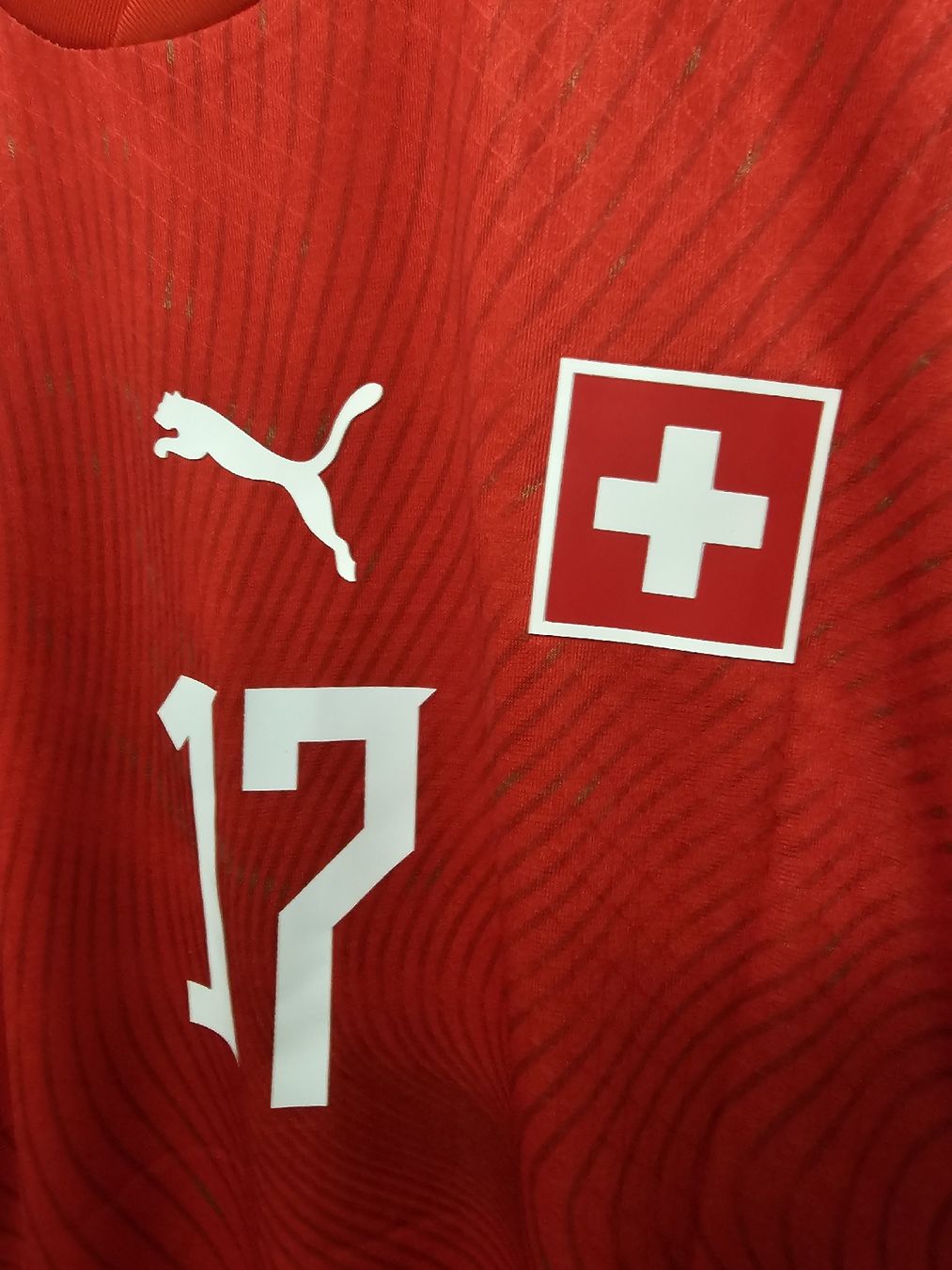 Maillots de corps & Pantalons: Schweiz Spielerversion Trikot WM 2026 – Neuf (Voir description) à Rickenbach LU par LichterWelt 3