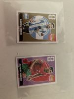 Panini Extra Sticker