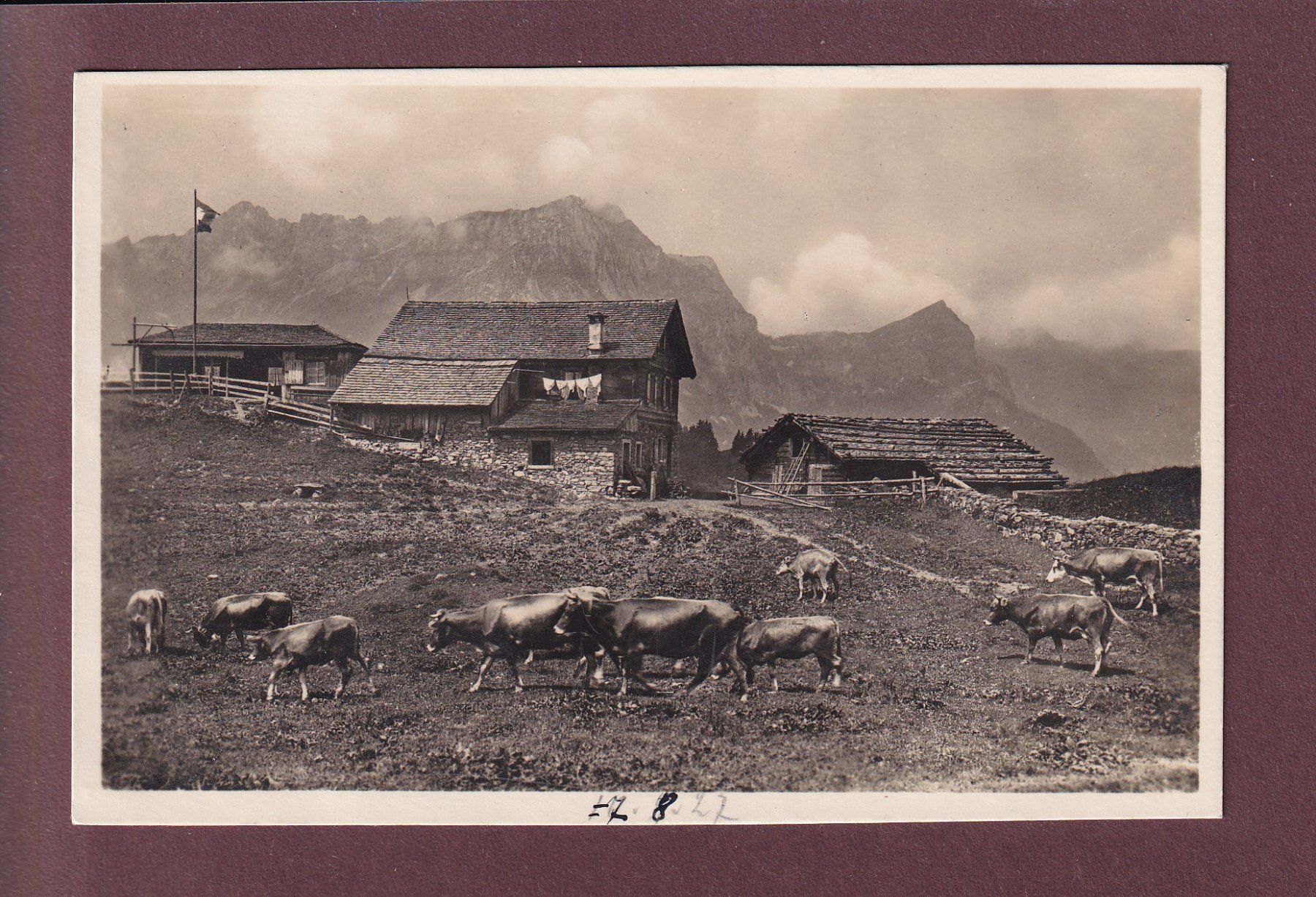 Cartoline postali: Engelberg - GERSCHNIALP - Kühe - 1927 – Usato da Pully venduto da nicecards