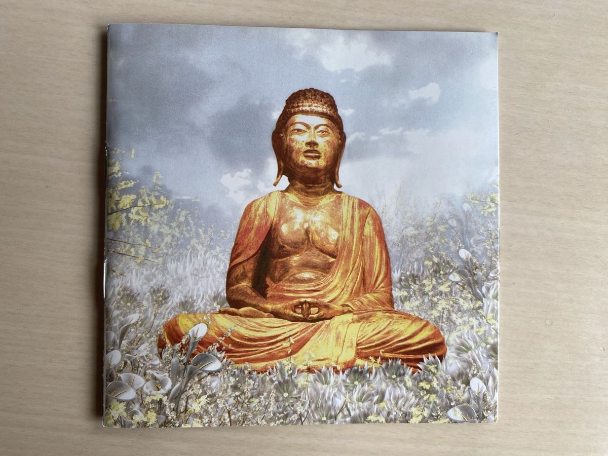 CDs: Buddha - Bar VI 2CD by Ravin – Gebraucht aus Oberried Brienz von Chyara 3