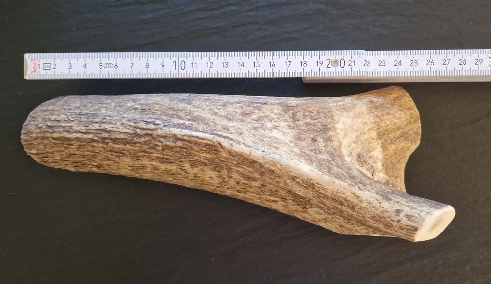 Hirschgeweihe Fu00fcr Hunde - Geweihe Vom Rothirsch Produktbild-Vorschau 12