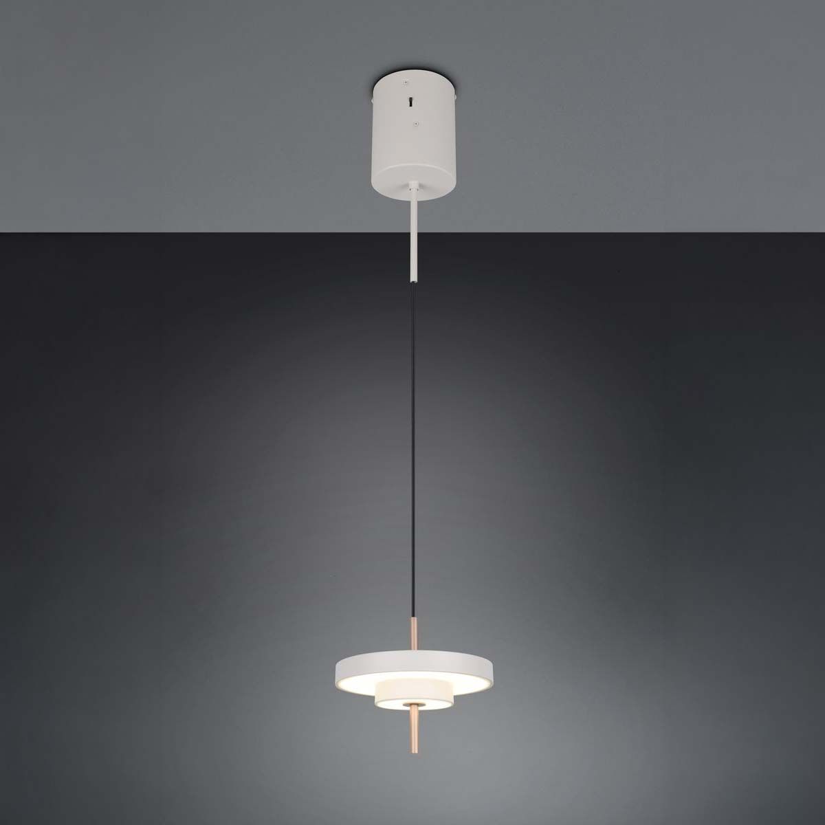 Lampadari & plafoniere: LED Pendelleuchte, Dimmer, CCT, 20 cm Ø – Nuovo (secondo la descrizione) da Kreuzlingen venduto da Smart-Light