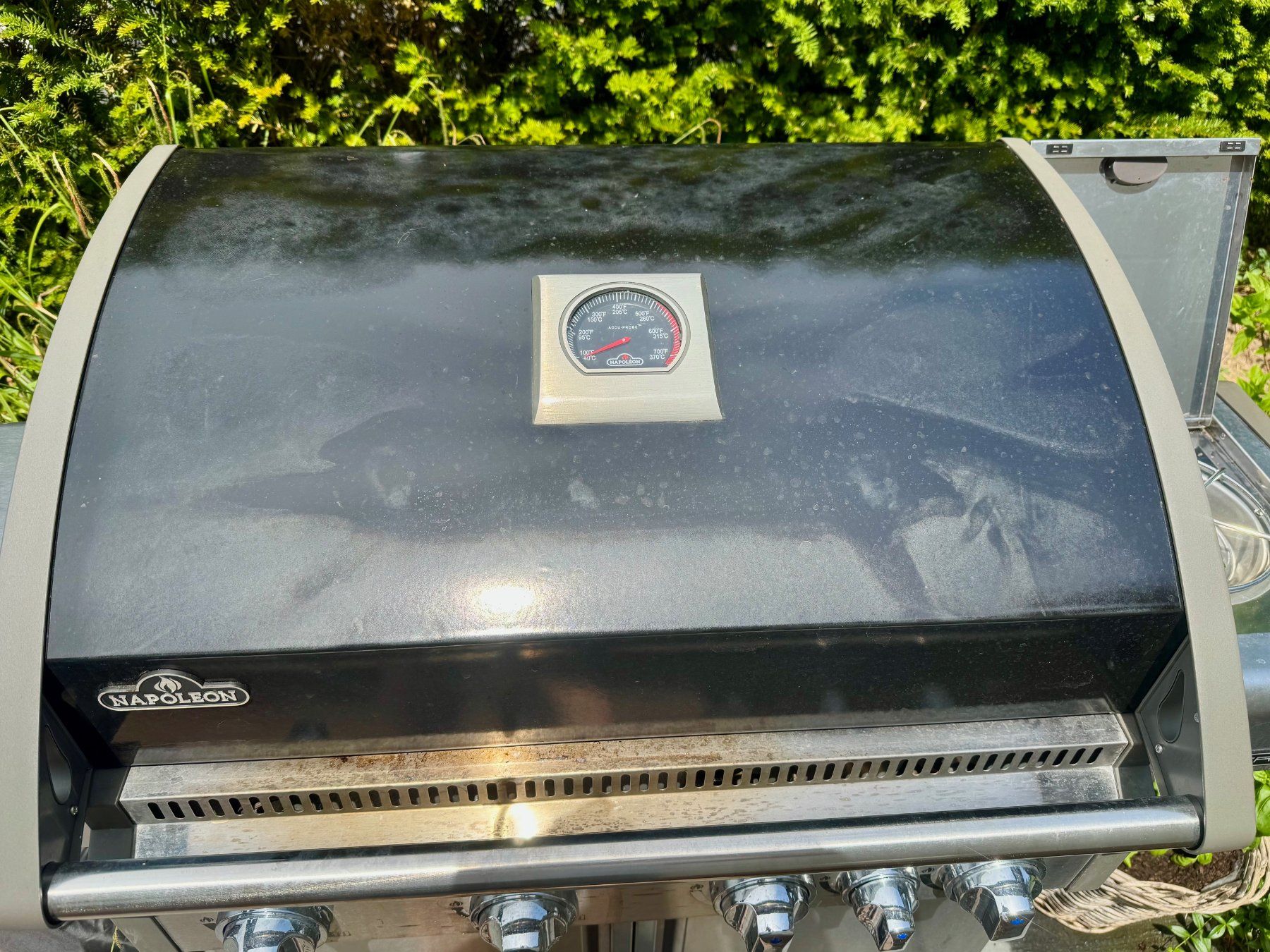 Griglie: Gasgrill NAPOLEON Triumph 495 – Usato da Wettswil venduto da rhino05 3