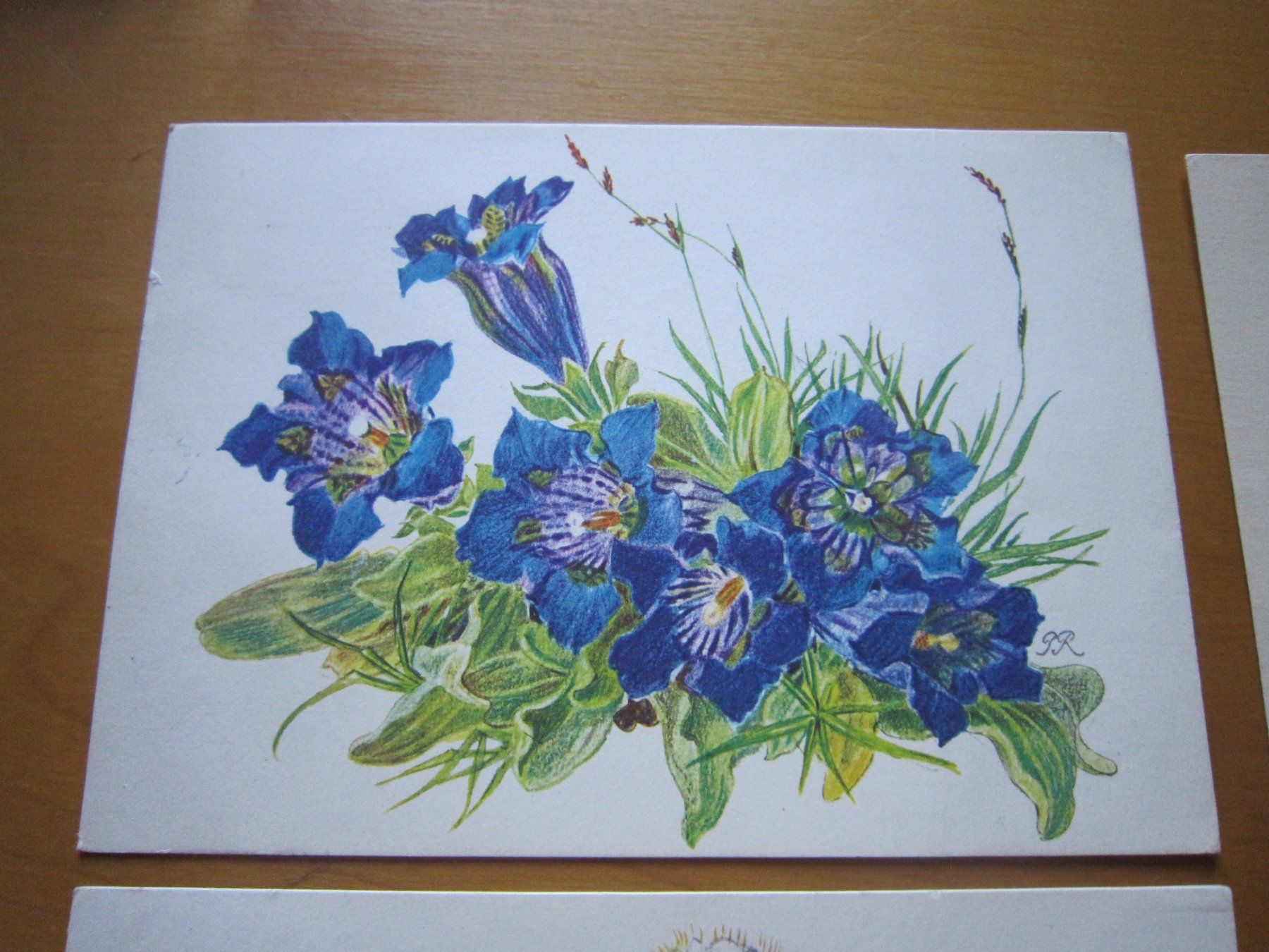 Cartoline postali: No2 Postkarten Blumen um 1959 – Usato da Gordola venduto da Polentaefung 1