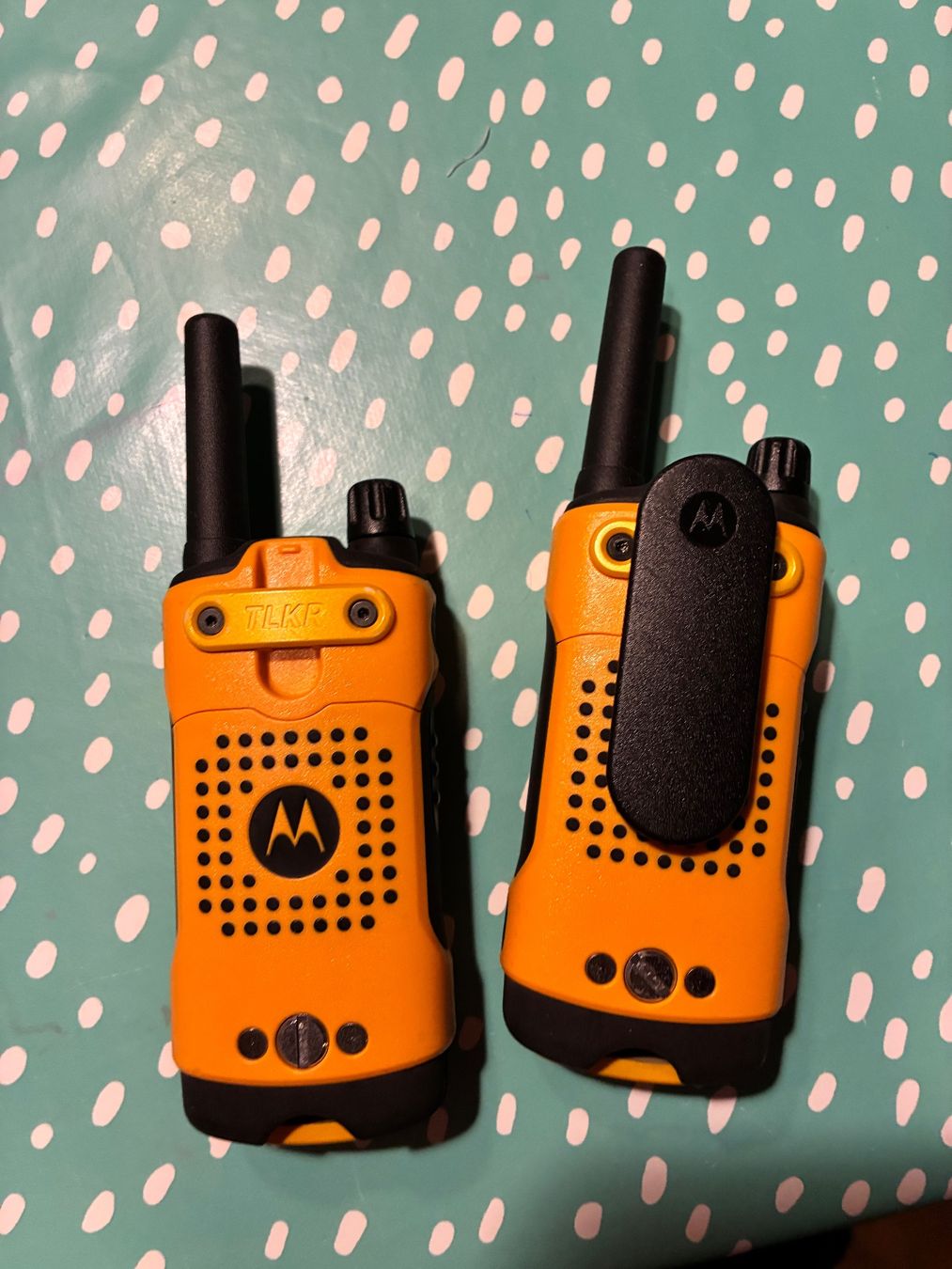 Motorola Radiocomunicazione: Funkgerät Motorola – Usato da Wald ZH venduto da gabriela1 2