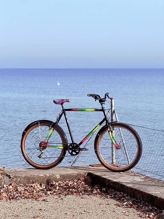 Biciclette: VTT Alpina 26'' – Usato da Yverdon-les-Bains venduto da cra_95t6 2