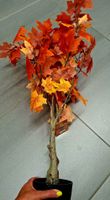 Hochwertiger künstlicher Ahorn. Höhe: 71 cm. Farbe: Orange.