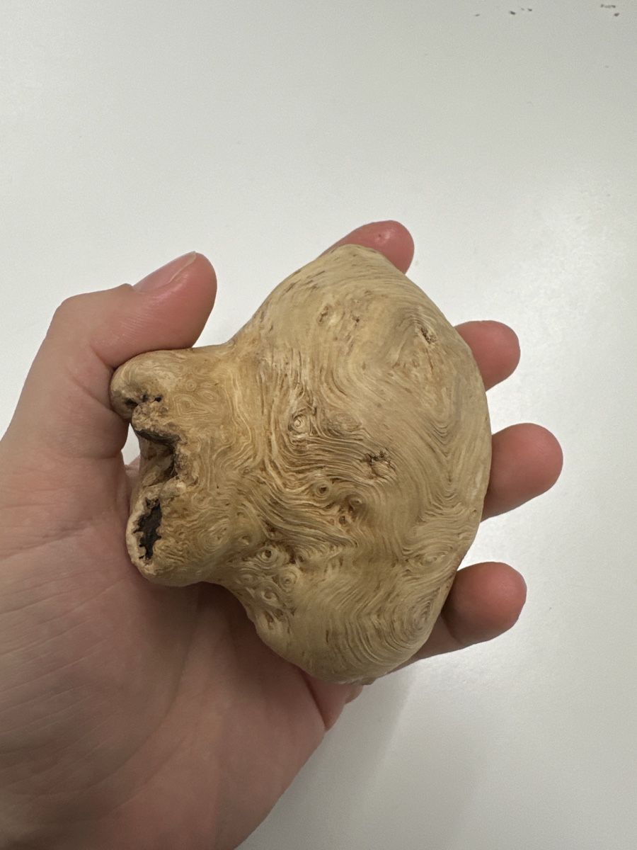Alle Dekorationen: Wunderschöner Baumperle Dekoartikel🍄🍄🍄 – Gebraucht aus Niederlenz von dil_m8z8 2