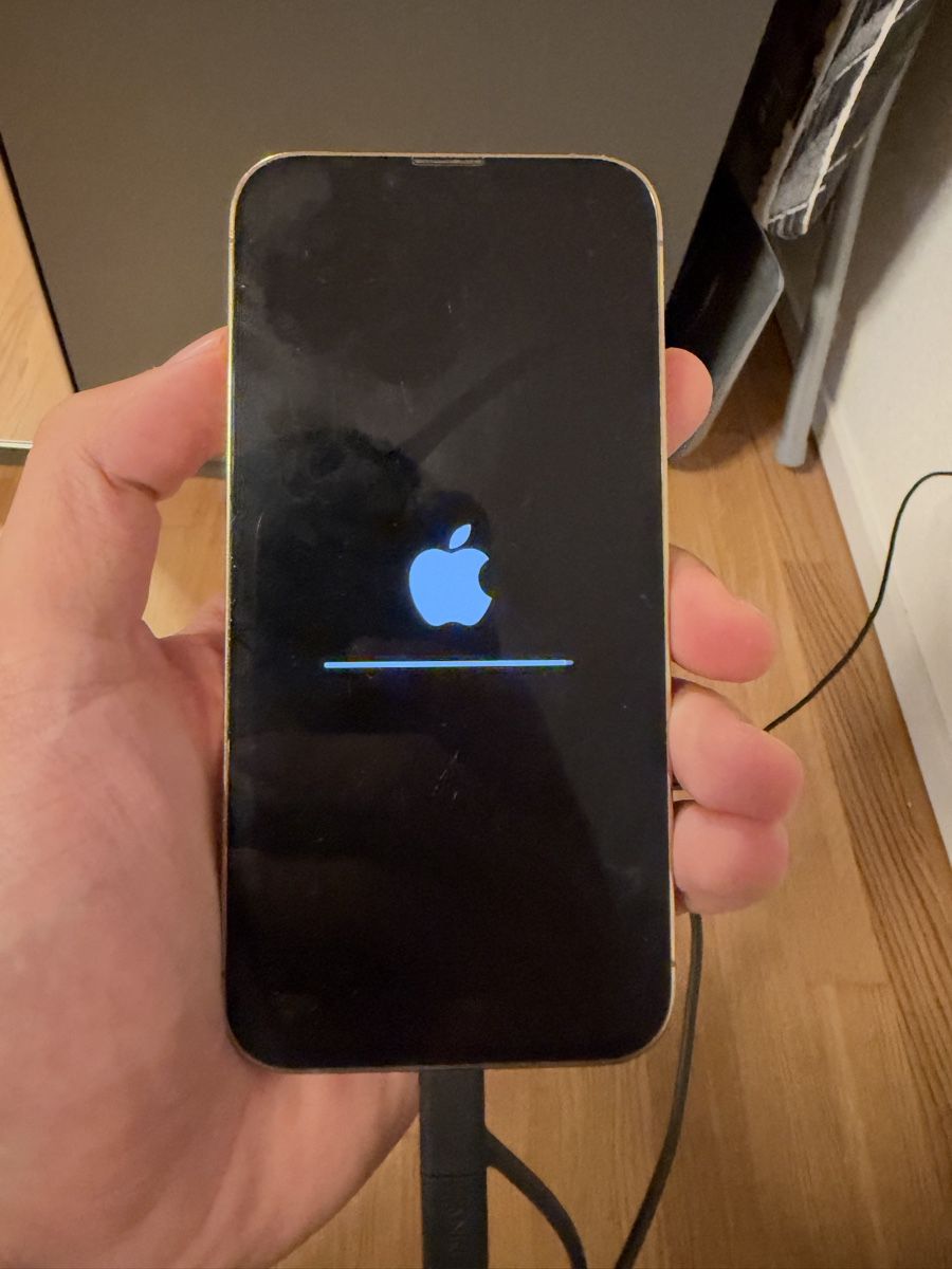 Apple Telefoni cellulari / Smartphones: Iphone 13 pro 128 GB – Usato da Erlinsbach venduto da RubenC16 1