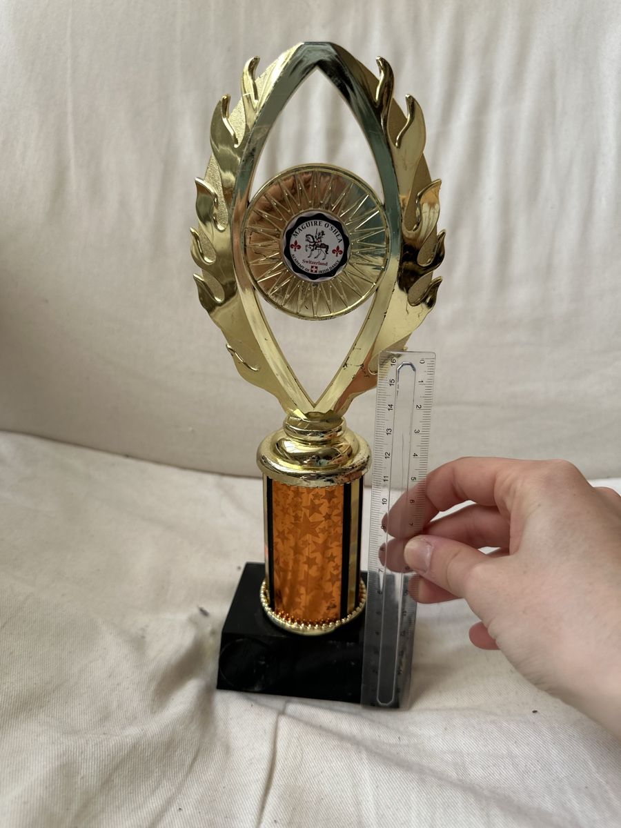 Altre raccolte & rarità: Goldener Pokal – Usato da Basel venduto da ari_f26x 1