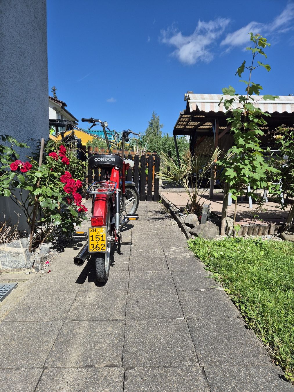 Puch Mofas: Puch Maxi    mit Ausweis u.Nummer – Gebraucht aus kloten von eismeister33 2