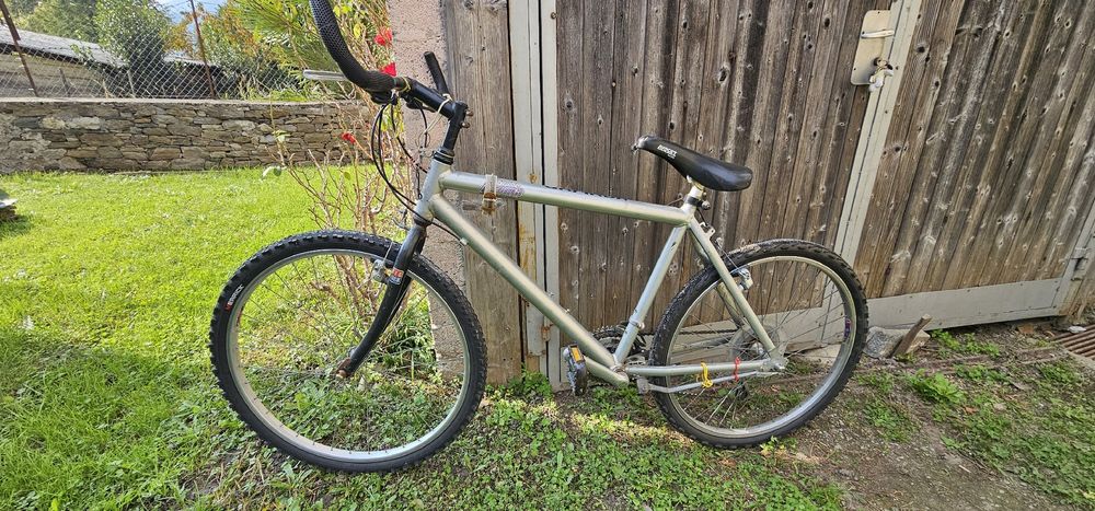 mountain bike Proflex (Gebraucht) in Gordola für CHF 100 – nur Abholung ...