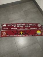 2 écharpes GSHC , Genève Servette hockey club