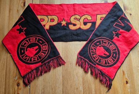 SC Bern Schal HOPP SC BÄRN Hockey SCB Fan Schweiz